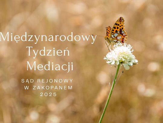 Międzynarodowy Tydzień Mediacji, Międyznarodowy Dzień Mediacji,