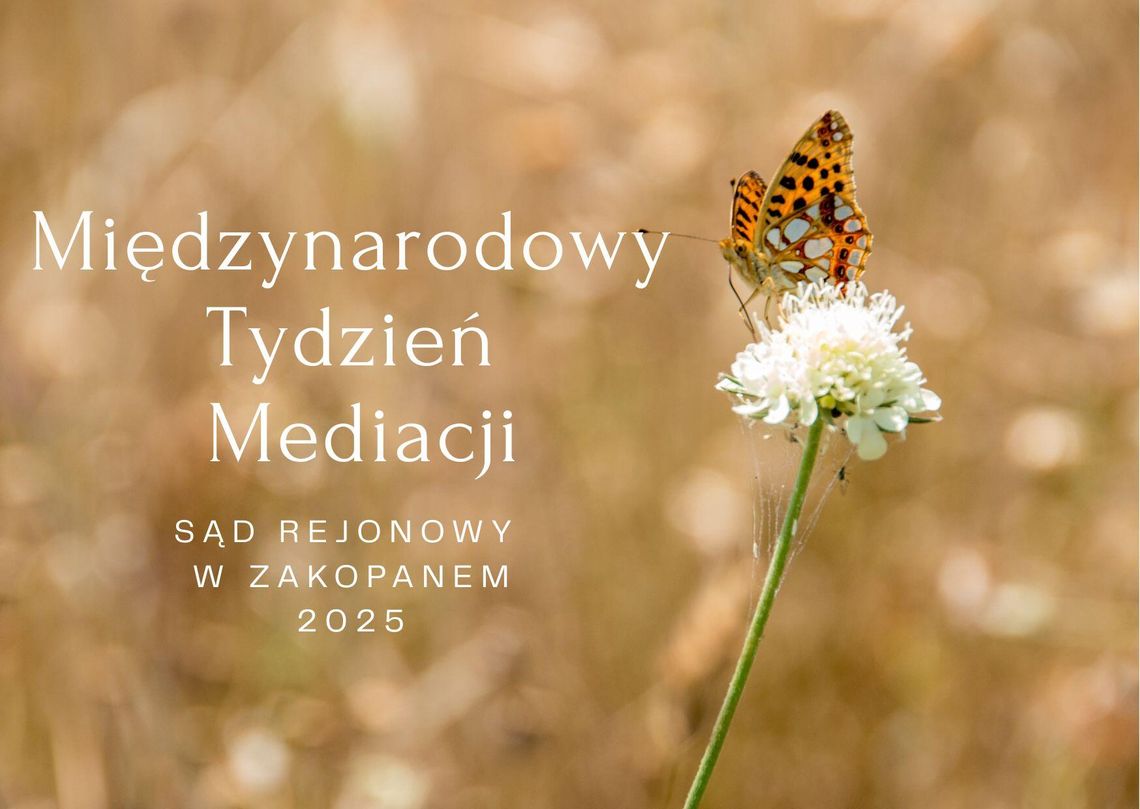 Międzynarodowy Tydzień Mediacji, Międyznarodowy Dzień Mediacji,