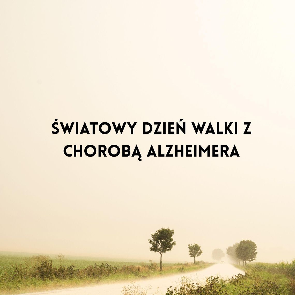 Światowy Dzień Walki z Chorobą Alzheimera Światowy Dzień Walki z Chorobą Alzheimera